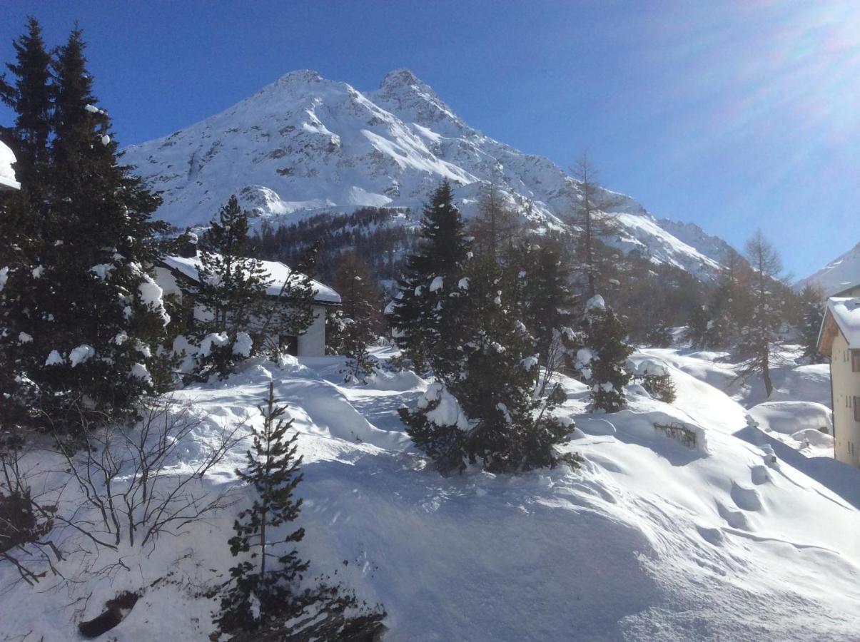 Chesa La Montanella - Ferienwohnung, Maloja Esterno foto